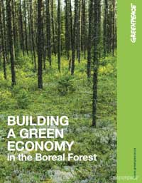 Greenpeace Green Energy Report