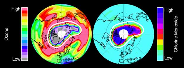 Ozone Loss over Arctic