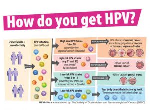 Get The Correct Facts About HPV NetNewsLedger