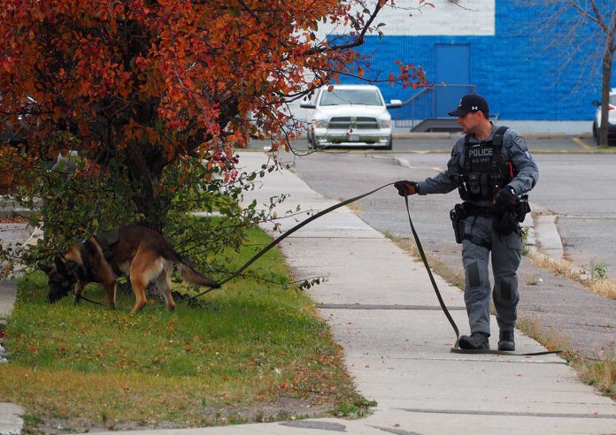 TBPS K-9 Unit