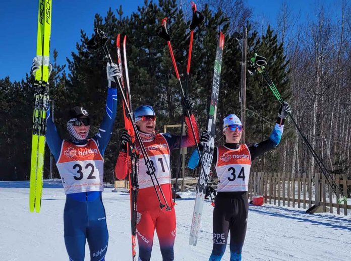 Cross-country Skiing