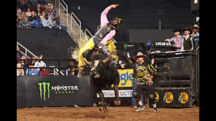 Wingson Wins in PBR