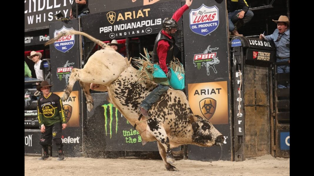 Chevron and PBR Teams World Champion Ariat Texas Rattlers Announce ...