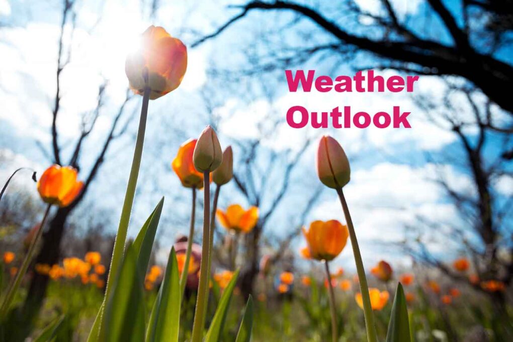 NetNewsLedger May 2, 2024 Sault Ste. Marie Detailed Weather Forecast