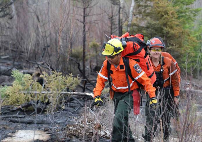 Wildland Firefighters - Image AFFES