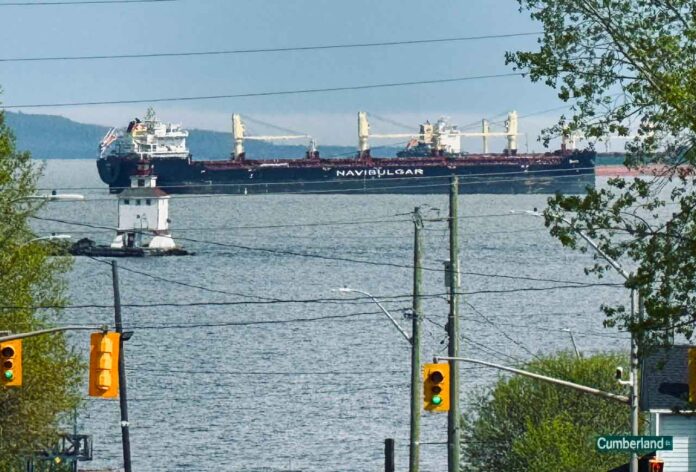 There are lots of ships in the port of Thunder Bay right now.
