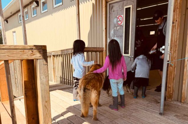 Even the local pups were lining up but never entered the community hall.