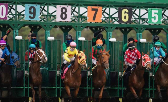 Secure Your Spot: Exploring the Best Ticket Options for the 2024 Breeders' Cup at Del Mar