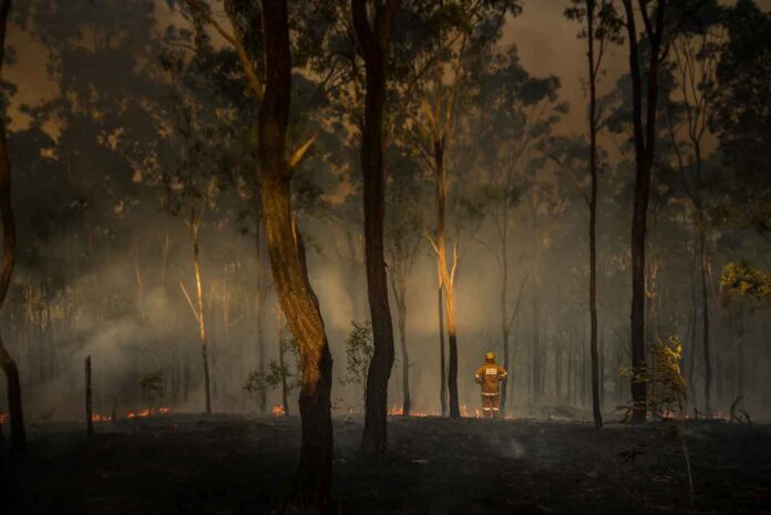 Wildfire Damage