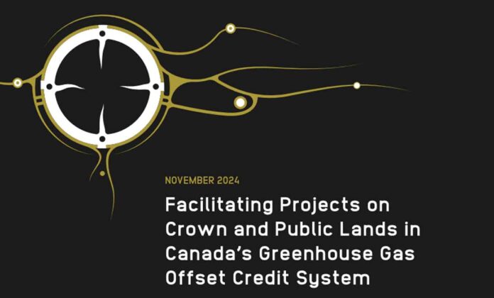 The Anishnawbe Business Professional Association (ABPA) has released a groundbreaking report that sheds light on the crucial role of First Nations communities in tackling climate change through carbon credit initiatives and nature-based solutions.