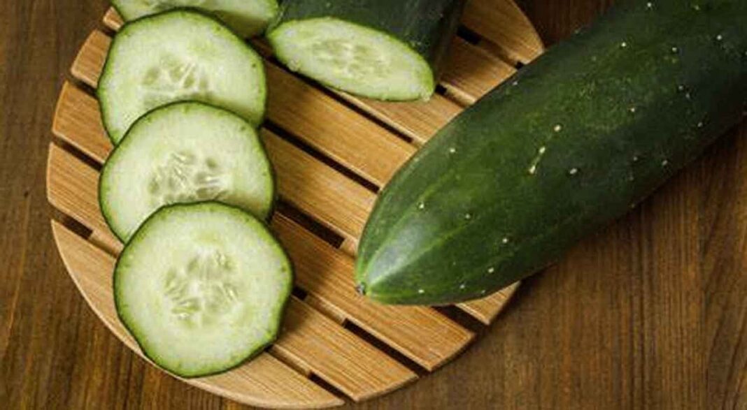 Cucumber Recall Issued Due to Salmonella Risk NetNewsLedger