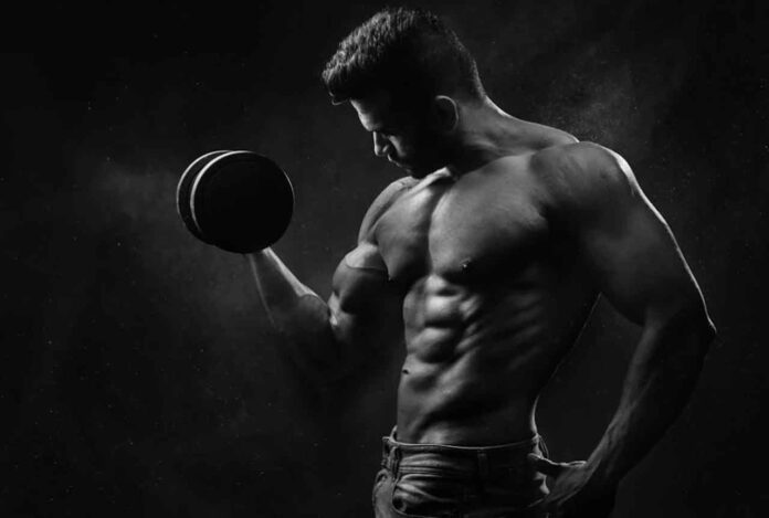 The Ultimate Guide to Achieving Your Dream Physique